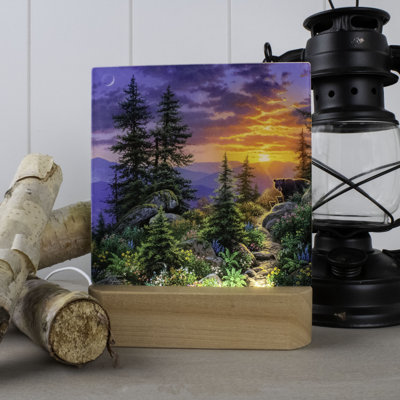 From The Ashes LED Nightlight