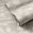 Abondance de gris I