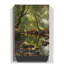 A Woodland Stream by - Wrapped Canvas-19045657
