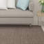 Rembert Solid Colour Machine Braided Indoor / Outdoor Area Rug-999983872