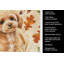 Serviette de cuisine Toy-2083472112