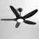 48'' Ceiling Fan With Lights And Remote Control