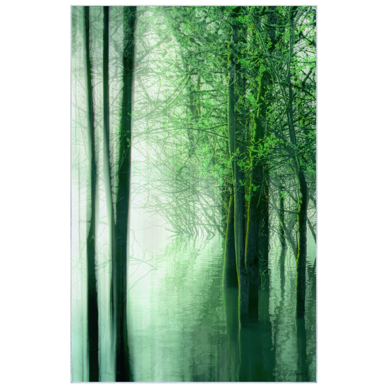 Tapis vert lavable Forest in The Lake taille 5 pi x 8 pi, douceur avec envers antidérapant