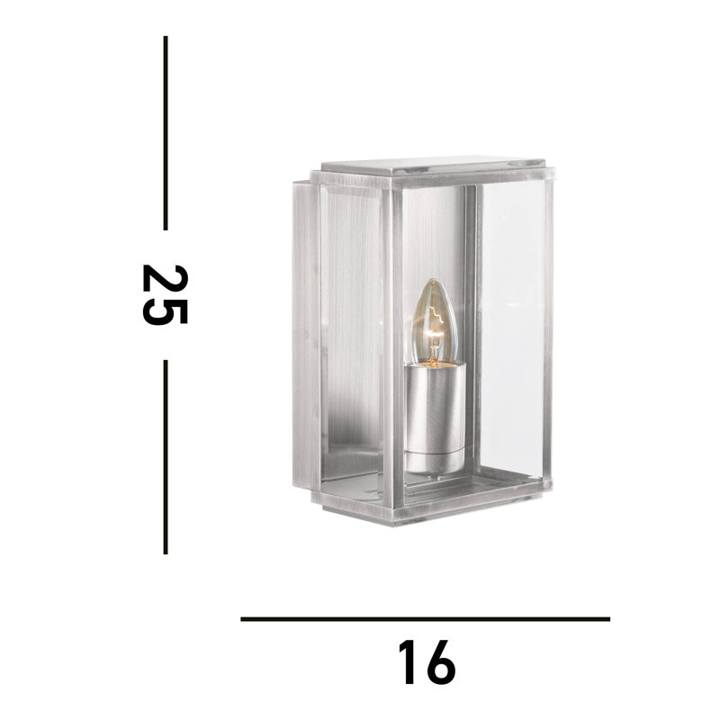 Karmen 25cm H Outdoor Sconce, Transparent, Satined silver