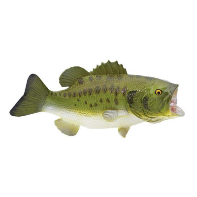 Achigan à grande bouche