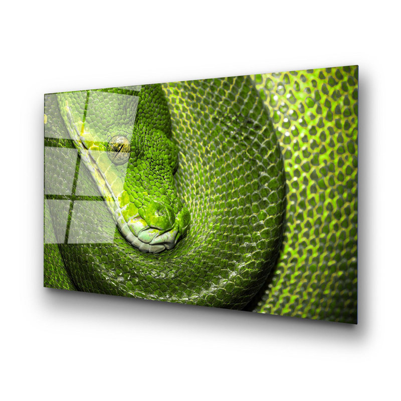 Boze Wall Decor