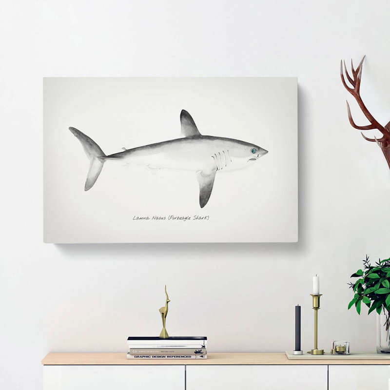 Illustration of a Porbeagle Shark by F.E. Clarke - Wrapped Canvas, 35cm H x 50cm W x 3cm D