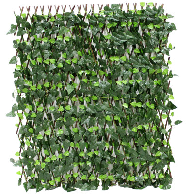 Panneau de clôture en treillis Accordian Ivy