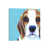 Wrapped Canvas is unavailable