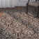 Chelsea Hand Hooked Wool Pile Oriental Rug