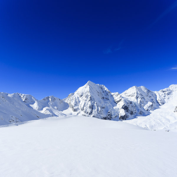 Millwood Pines Snow Capped Peaks Of The Italian A On Canvas by Wojciech