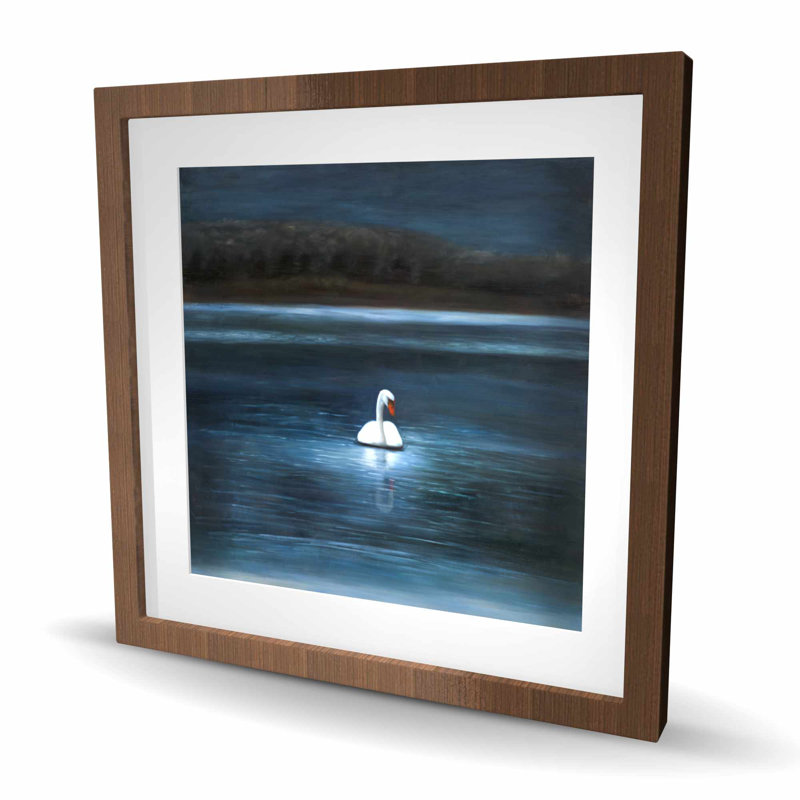 Magnifique cygne - paysages, encadrement blanc