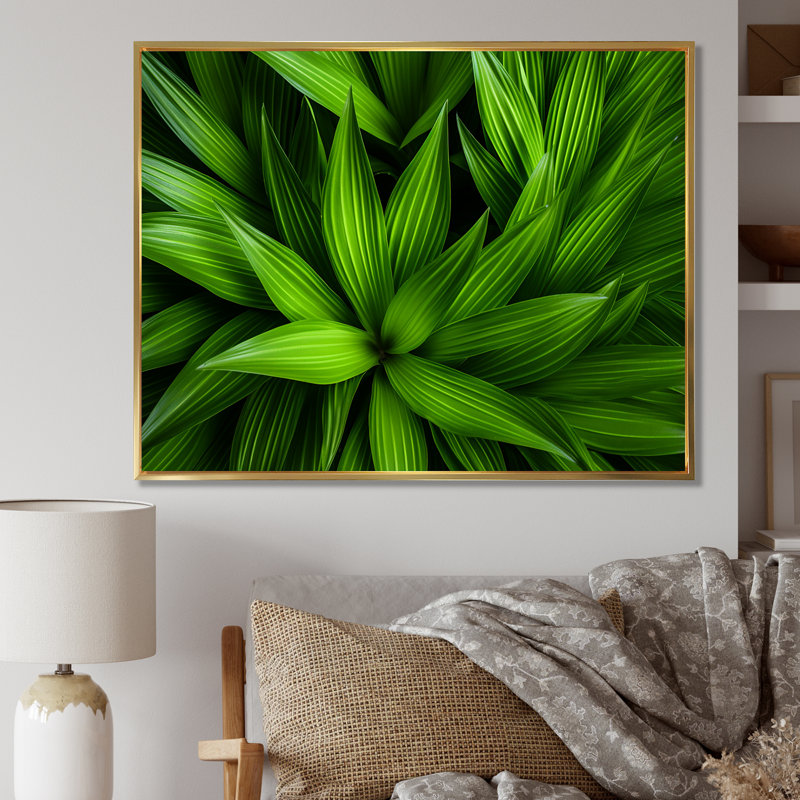 Greenerys Gaze sur impression sur toile, Cadre flottant doré, H 16 po x l 32 po x P 1 po