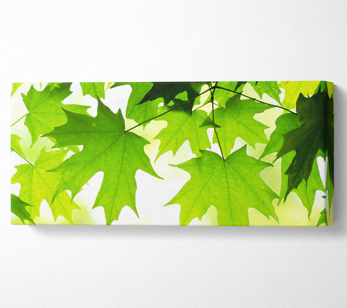 Ebern Designs Summer Leaves - Wrapped Canvas Art Prints | Wayfair.co.uk
