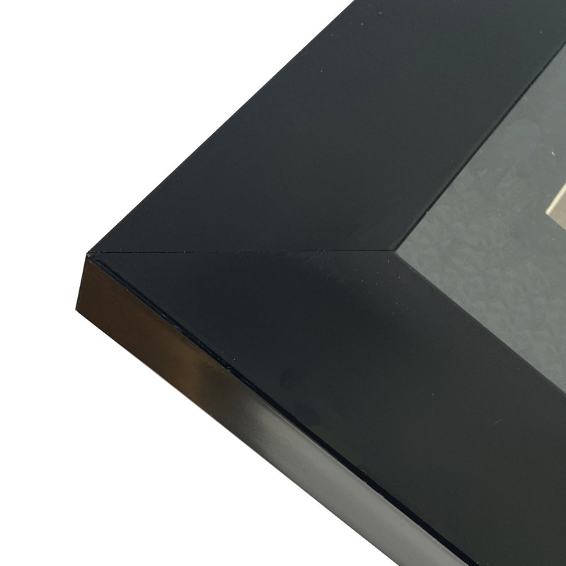 Black Matte Picture Frame with Mat