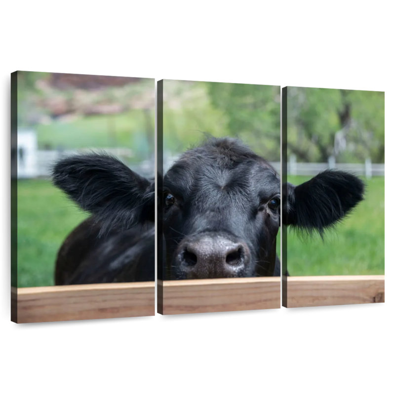 Nosy Ranch Cow, 24" H x 38" W
