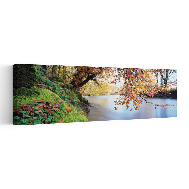 Arbres le long d'une rivière, fléchette, Bickleigh, Mid Devon, Devon, Angleterre, architecture contemporaine abstraite, forêt, art mural