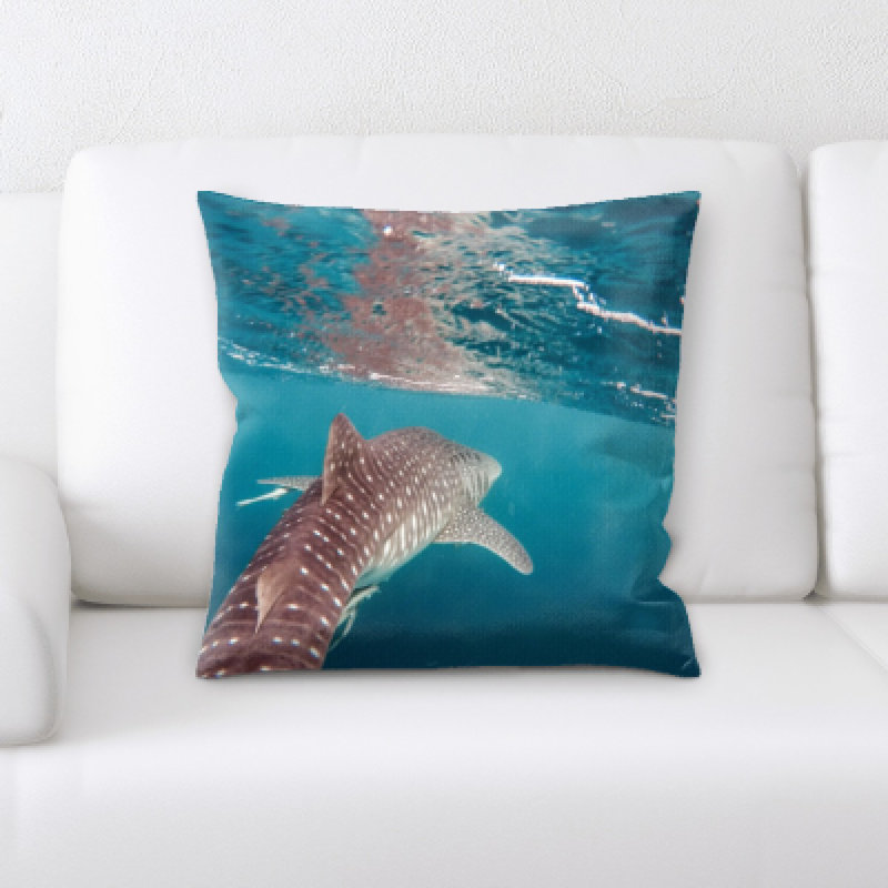 Lancaster Throw Pillow