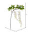 Wisteria Stem-149211377
