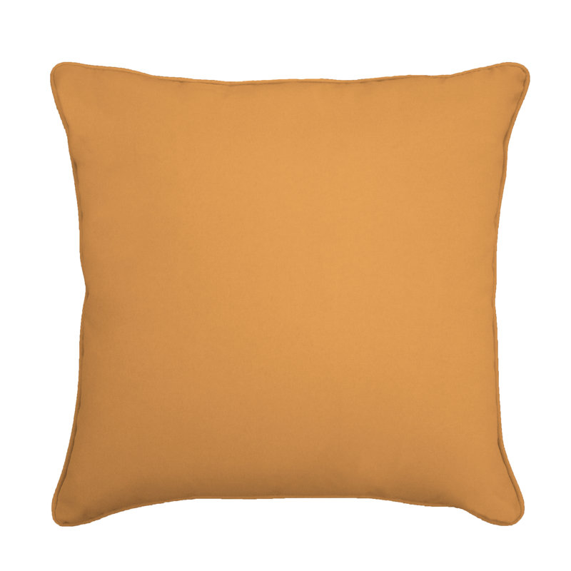  Housse et insert de coussin extérieur d'extérieur, Mangue, H 20 po x l 22 po