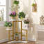 Plant Stand-334193980