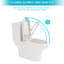 JuteJasper 6864252894FDAAC 1 GPF Round Comfort Height Chair Height Toilet