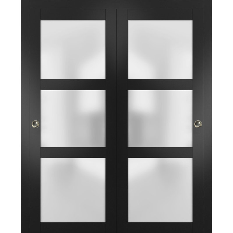 Portes de placard coulissantes en verre dépoli Lucia, Noir, 48 po x 84 po