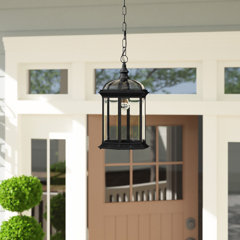 Roscoe 1 -Bulb 13.5" H Outdoor Hanging Lantern, Black
