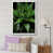 White Single Picture Framed