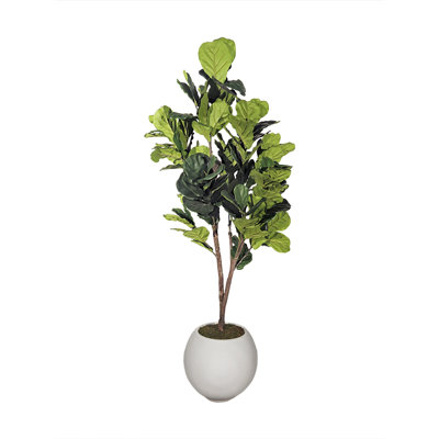 7' Natural Touch Fiddle Leaf Fig Tree in White Porter Planter