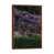 Classic Brown Wood Framed