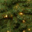 The Holiday Aisle® 3ft. Kincaid Spruce Tree with Clear Lights