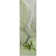 Premium Machine Washable Cerrito AMF506 Green Rug