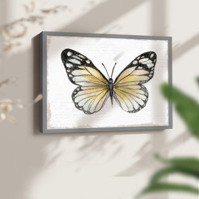 Vintage Flutter II -Framed Print - Restickable