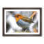 Charming Robin Bird - Picture Frame Painting Print-55536153-55536152