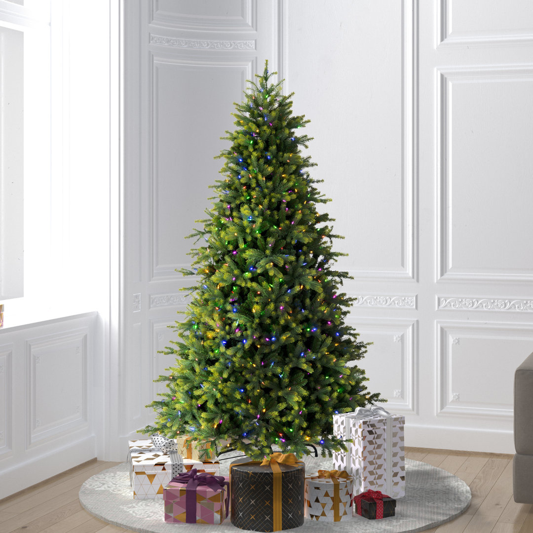 90'' H Green Realistic Fir Christmas Tree with 750 LED Lights The Holiday Aisle® 