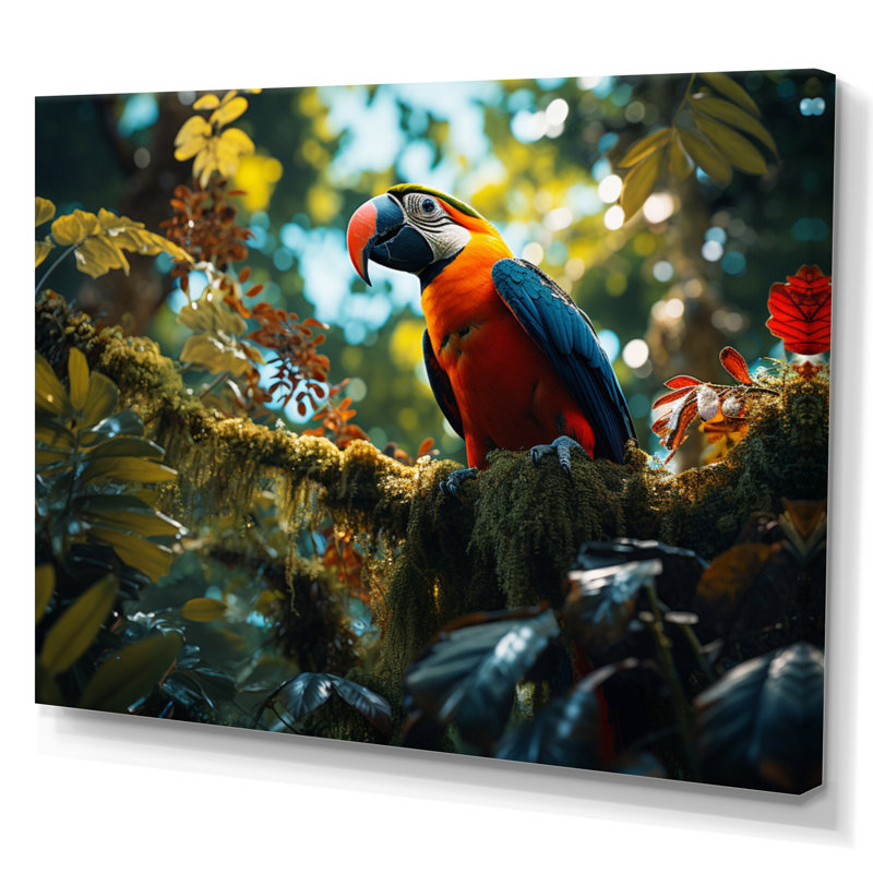 Macaw South America Jungle Symphony - Animals Wall Art Prints, H 30 po x l 40 po, Toile tendue