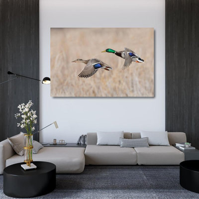 Gracie Oaks Archer, Ken Gallery Wrapped Canvas Art Titled: Mallard Duck Pair flying