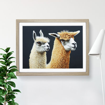 Enthralling Llamas - Single Picture Frame Print