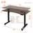 Daiah Ergonomic Curved Height Adjustable Standing Desk-41585585
