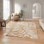 Catherine Lansfield Floral Area Rug-1592284855