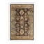 Tapis unique noué à la main brun Serapi 3 pi 11 po x 6 pi 0 po Serapi