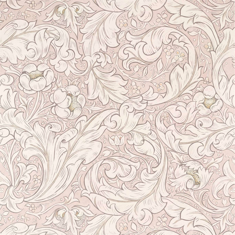Pure Bachelors Button Wallpaper, Faded Sea Pink