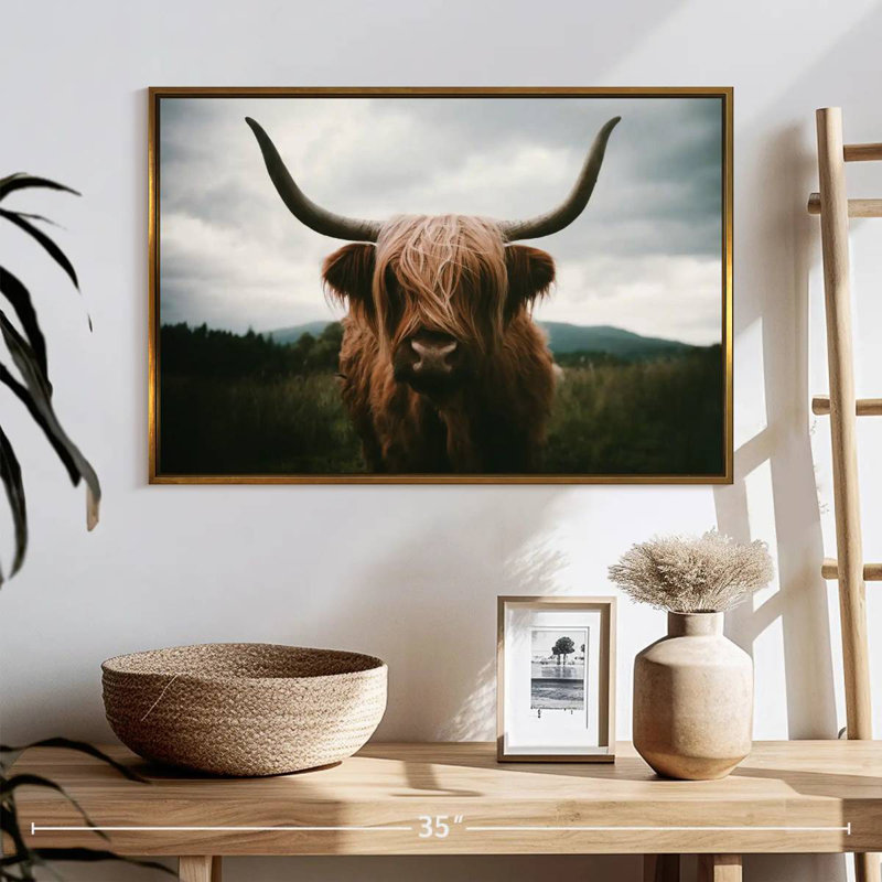 Vache Highland Open Field, Cadre flottant doré, 25 po x 17 po