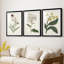 Antique Botanical Collection VII - reproduction sur mesure encadrée de qualité supérieure - 3 pièces-1991691633-1991691632