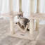 50 cm H Cat Tree / Condo