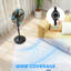 Floor Fan