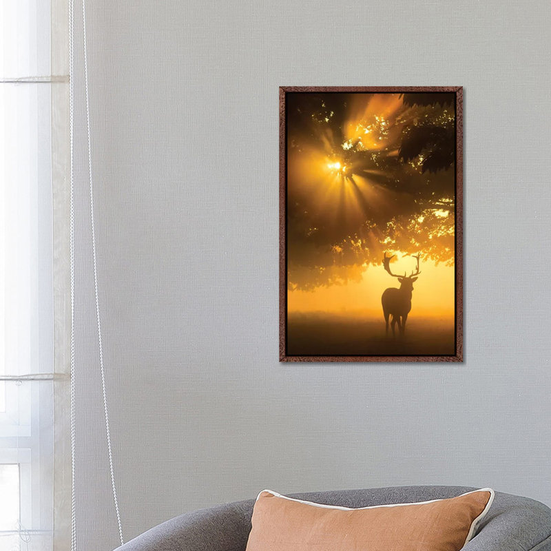 Mist On Tree Can't Stop Sunshine by Kutub Uddin - Print on Canvas, 66.04cm H x 45.72cm W x 3.81cm D
