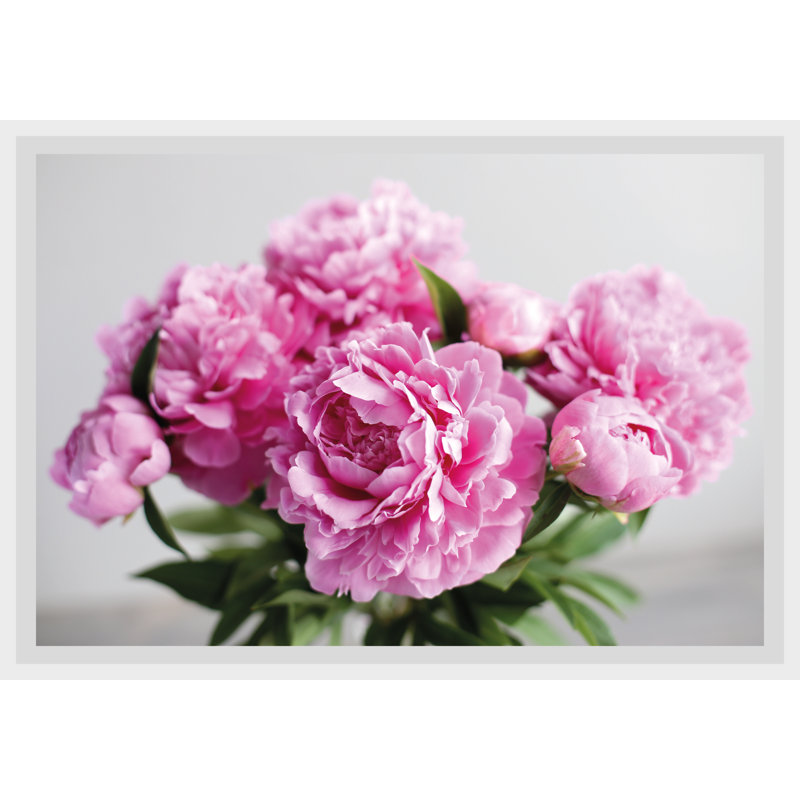Rose - Single Picture Frame Print
