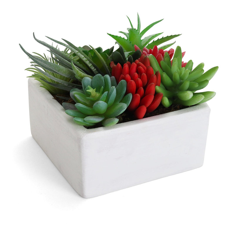 Plante grasse artificielle 5 po en pot